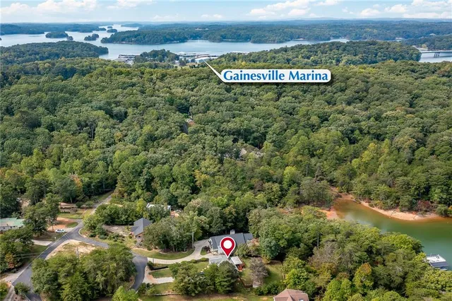 an aerial view of a residential houses with city view