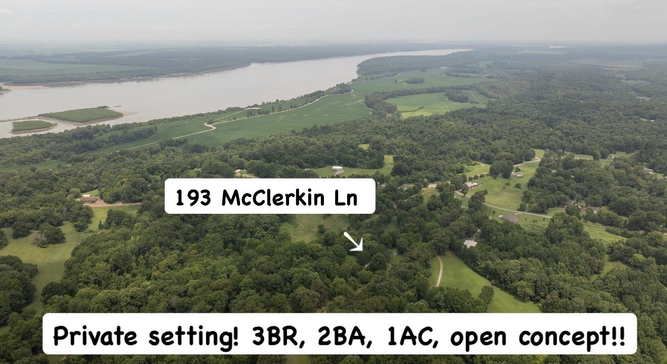 193 McClerkin Road Burlison, TN 38015 - Photo 2 of 39