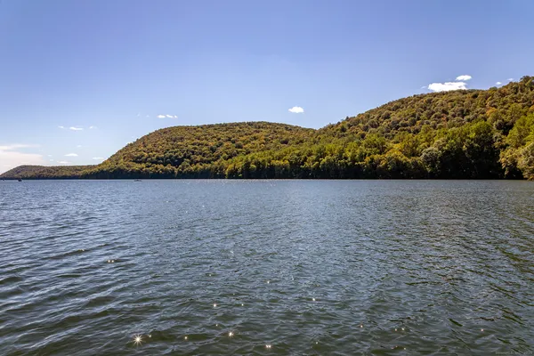 a view of tall trees with a mountain in the background