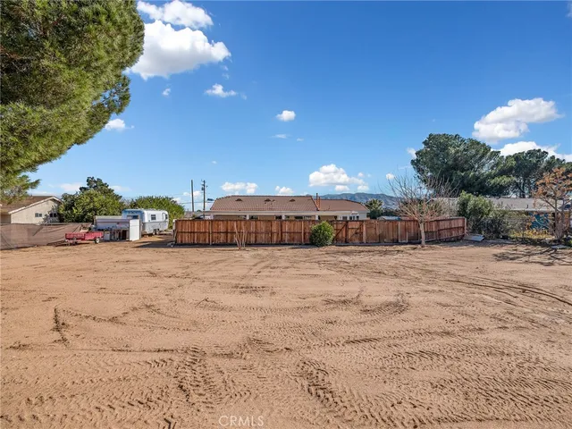 a large room with potted plants and a large tree
