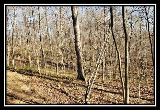 0 Harrison Road, Unit TRACT 2 Jackson, OH 45640 - Photo 26 of 50 image026