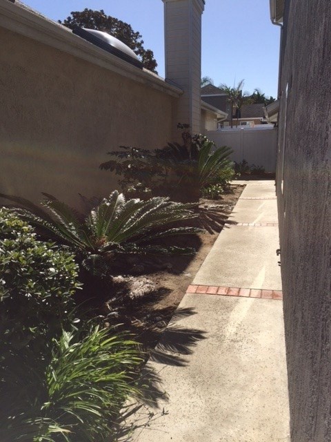 822 Bluewater Road Carlsbad, CA 92011 - Photo 9 of 24 This is the side yard on the East side of the property.