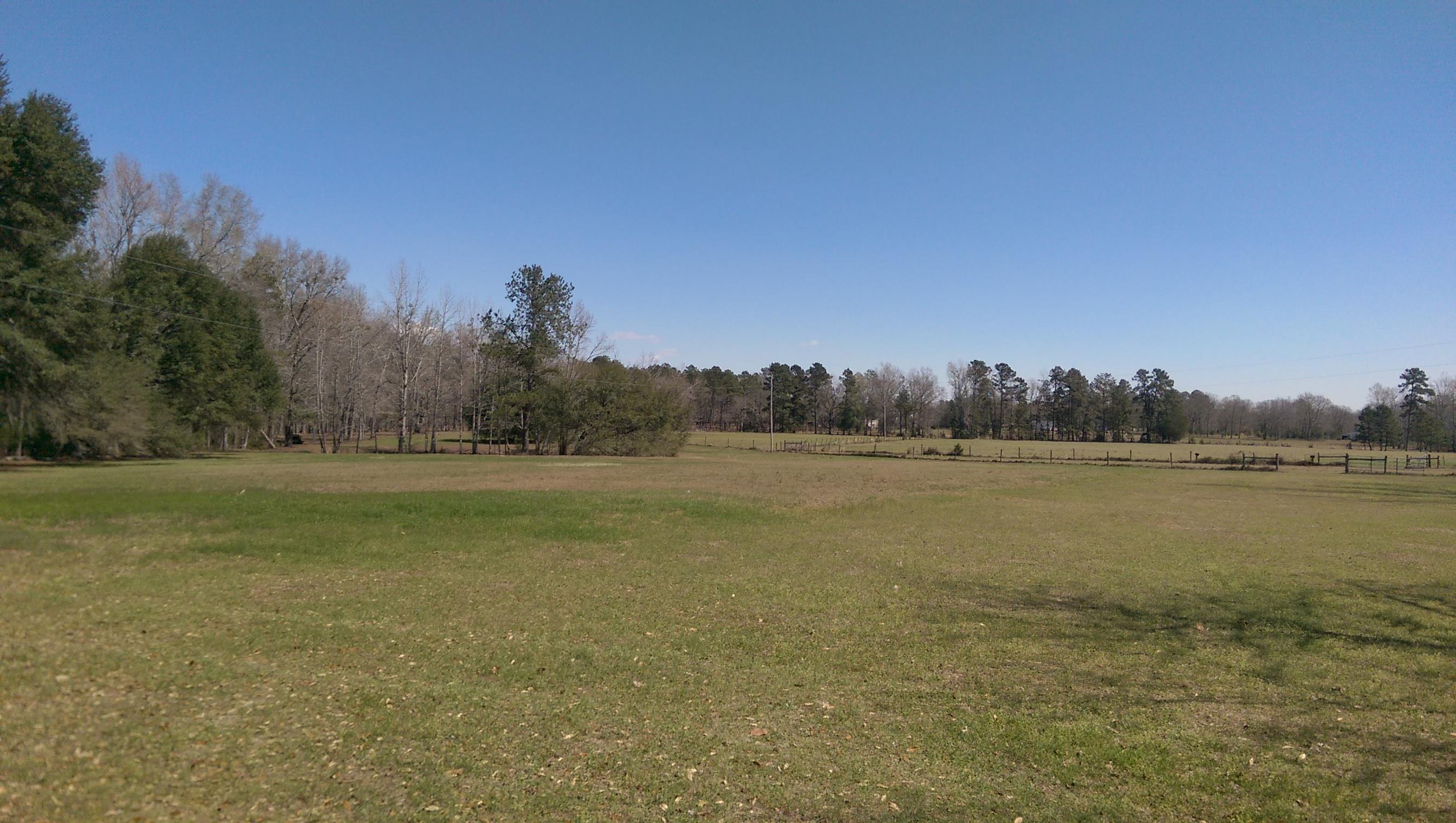 1823 Tee Vee Road Elloree, SC 29047 - Photo 1 of 21 IMAG4838