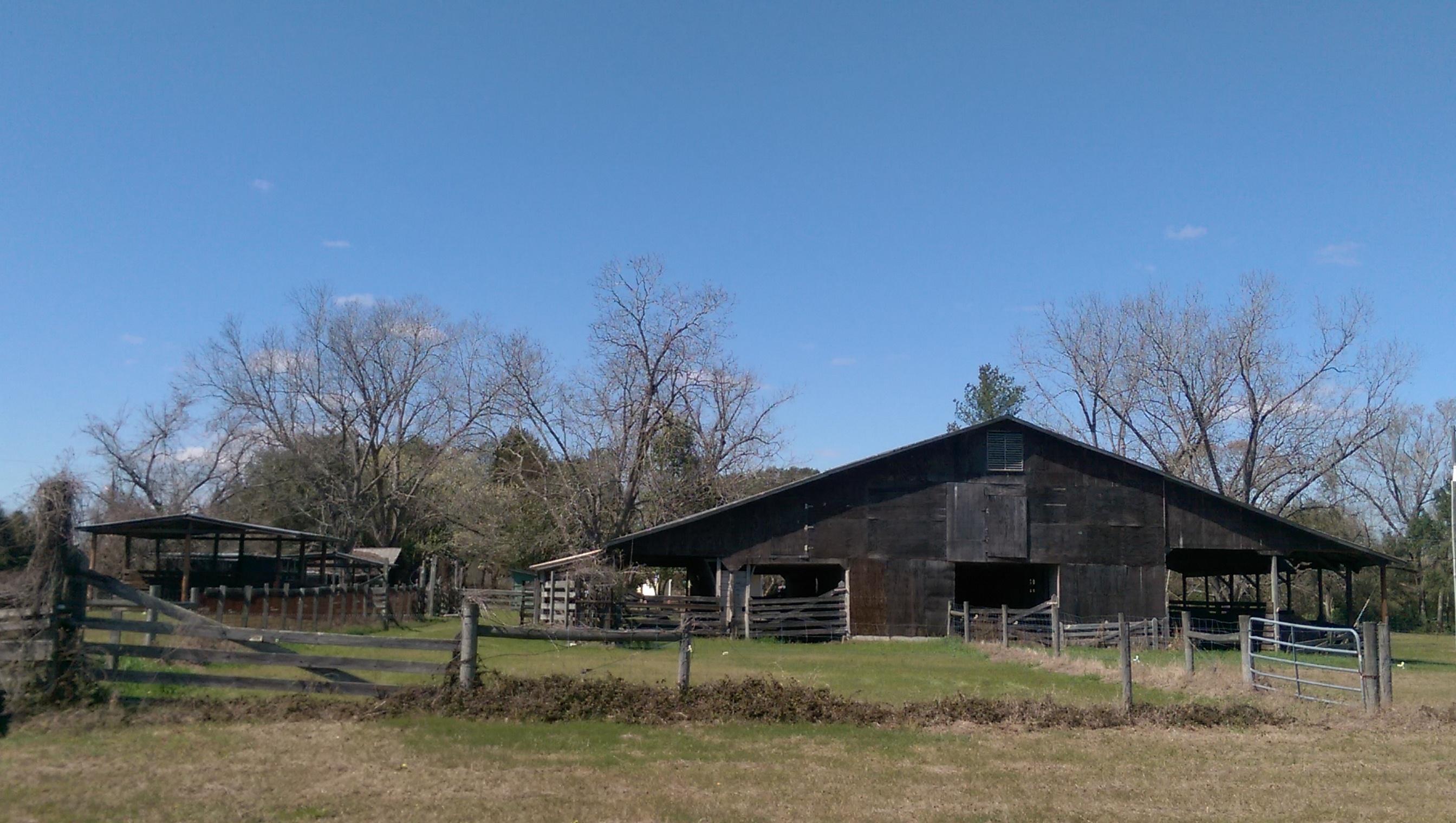 1823 Tee Vee Road Elloree, SC 29047 - Photo 11 of 21 IMAG4846