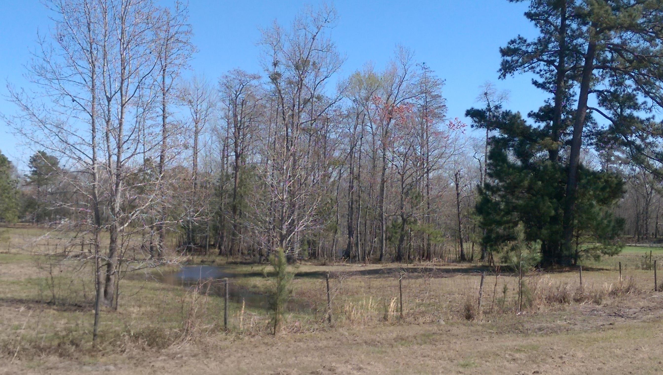 1823 Tee Vee Road Elloree, SC 29047 - Photo 12 of 21 IMAG4847