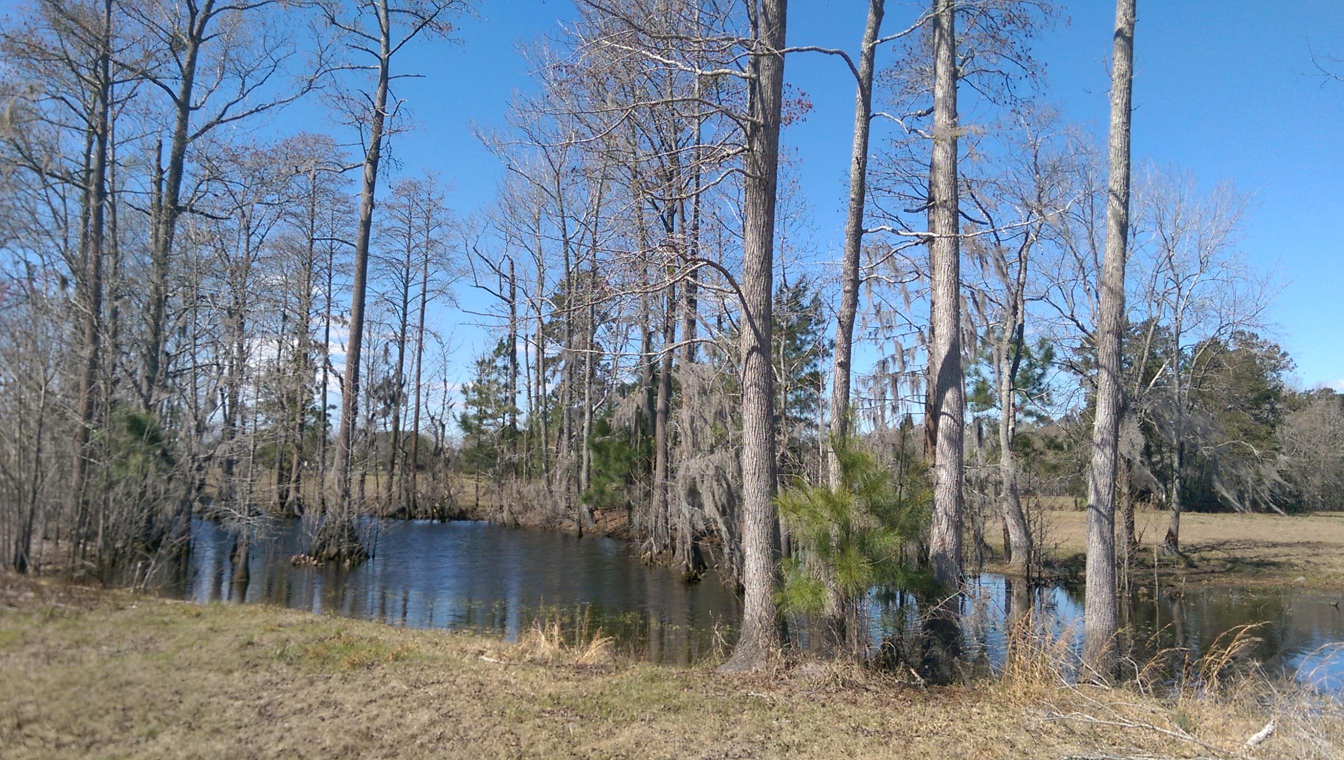 1823 Tee Vee Road Elloree, SC 29047 - Photo 13 of 21 IMAG4849