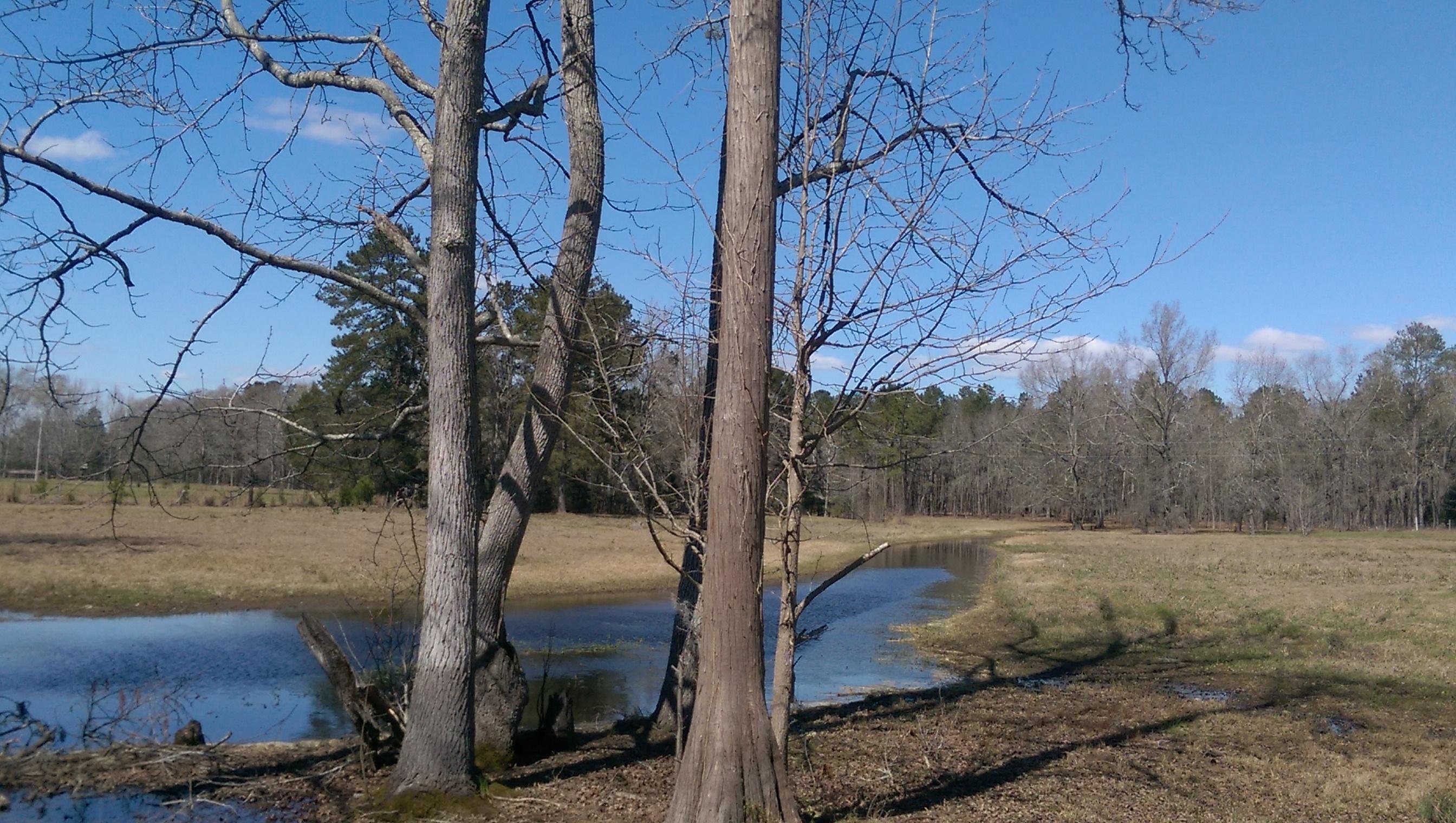 1823 Tee Vee Road Elloree, SC 29047 - Photo 14 of 21 IMAG4850