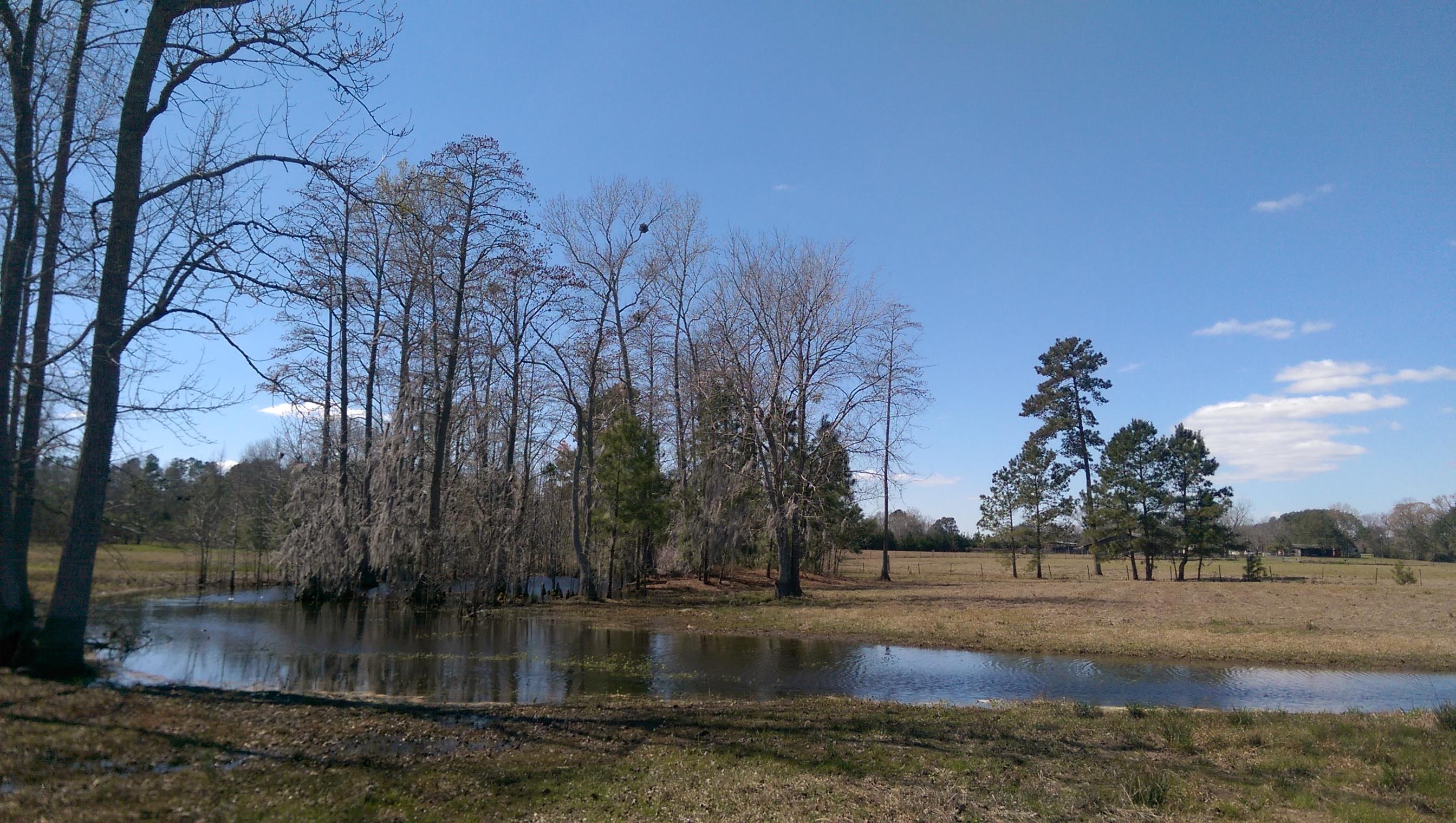 1823 Tee Vee Road Elloree, SC 29047 - Photo 15 of 21 IMAG4854