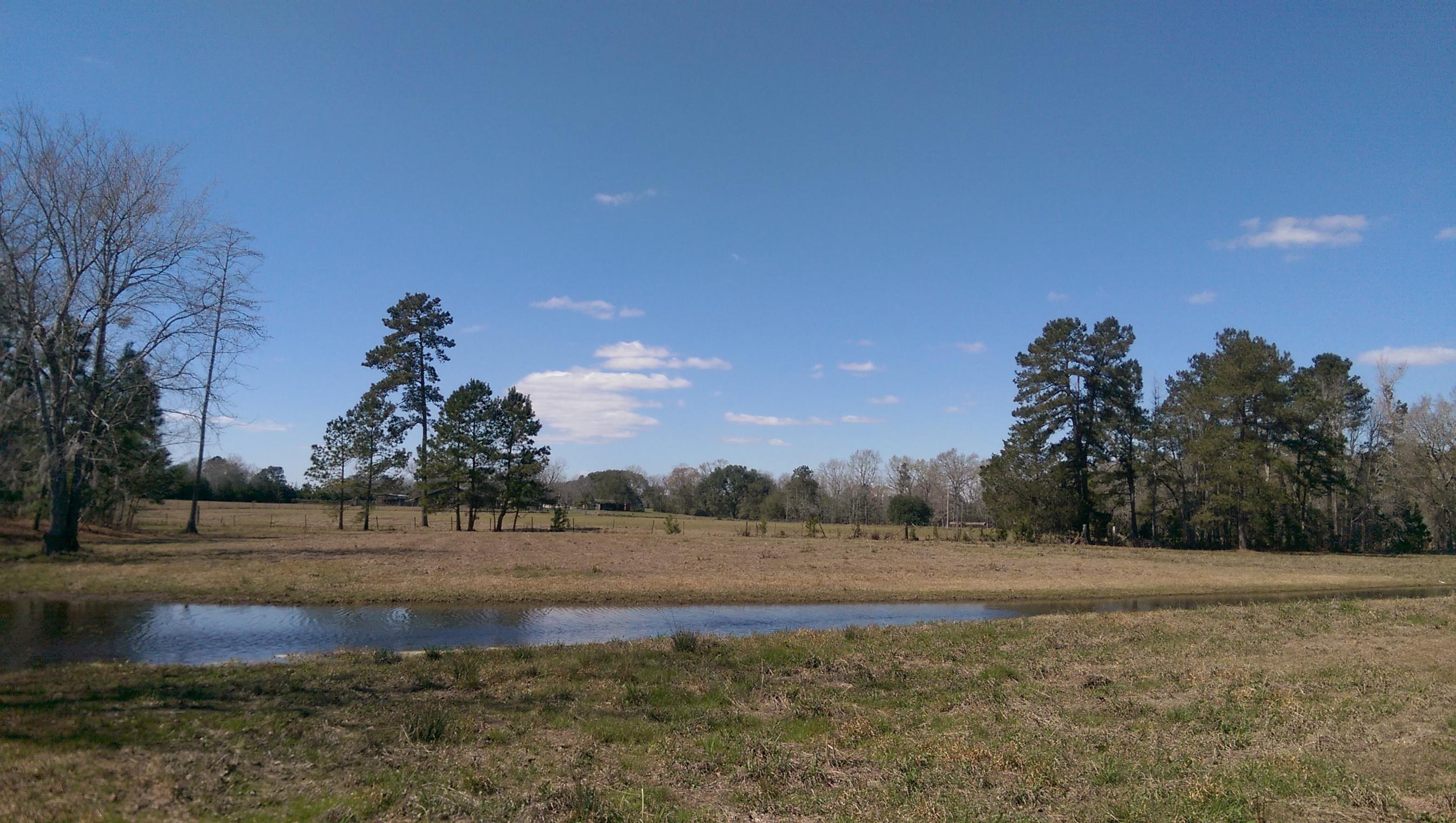 1823 Tee Vee Road Elloree, SC 29047 - Photo 16 of 21 IMAG4855