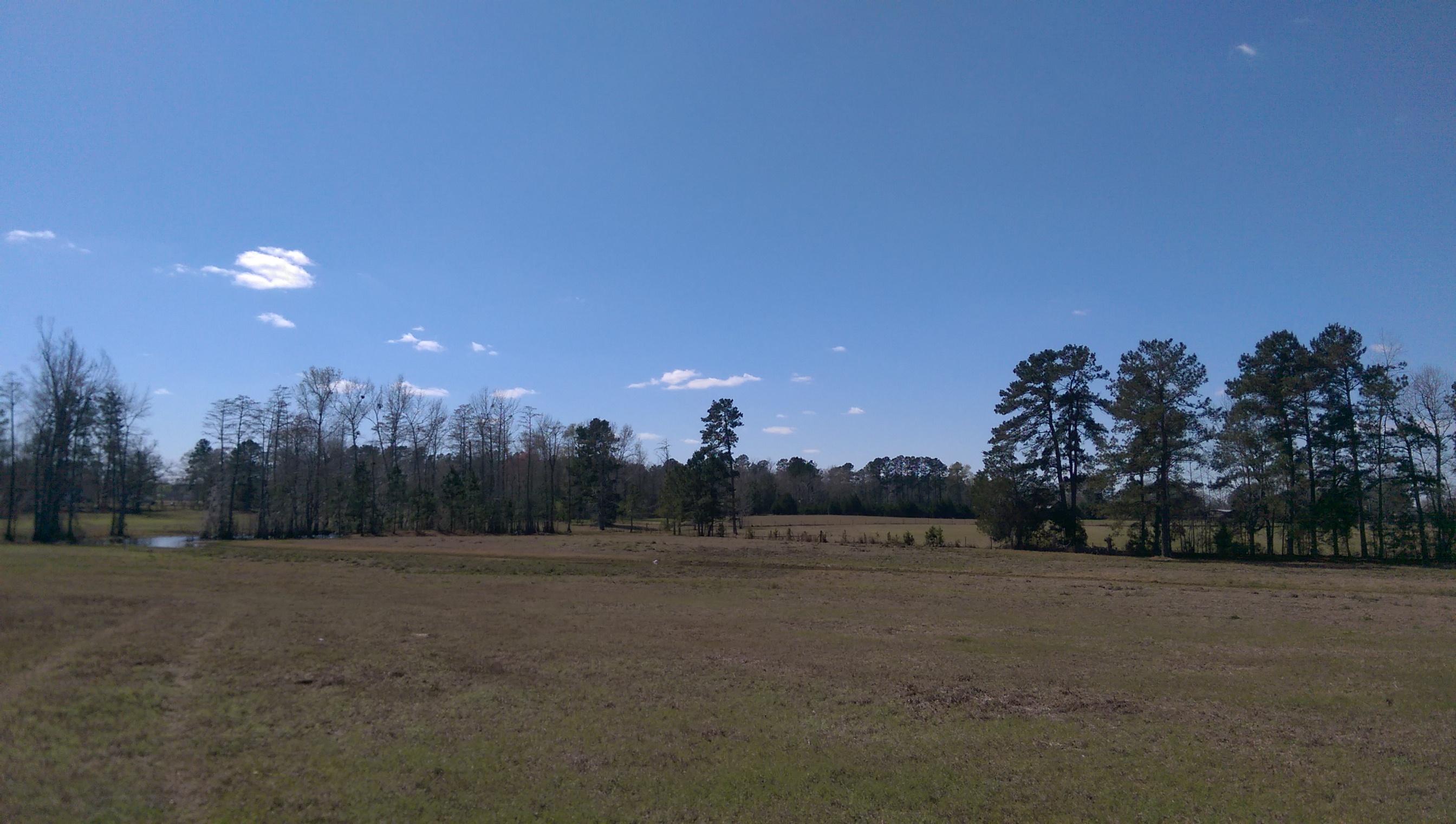 1823 Tee Vee Road Elloree, SC 29047 - Photo 17 of 21 IMAG4856