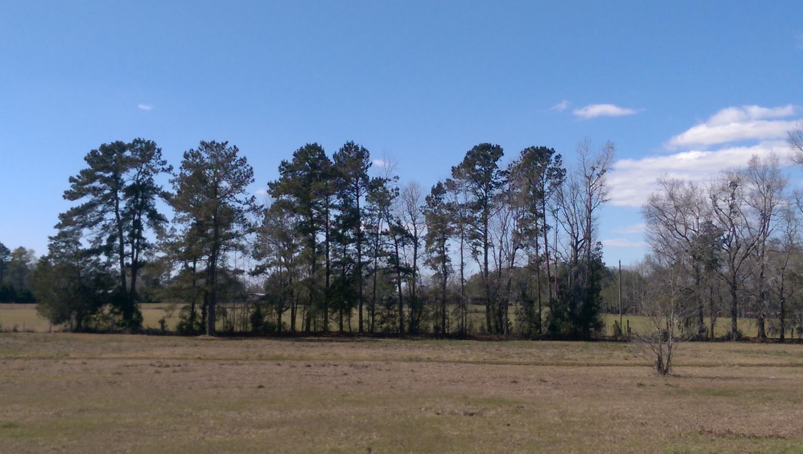1823 Tee Vee Road Elloree, SC 29047 - Photo 18 of 21 IMAG4857