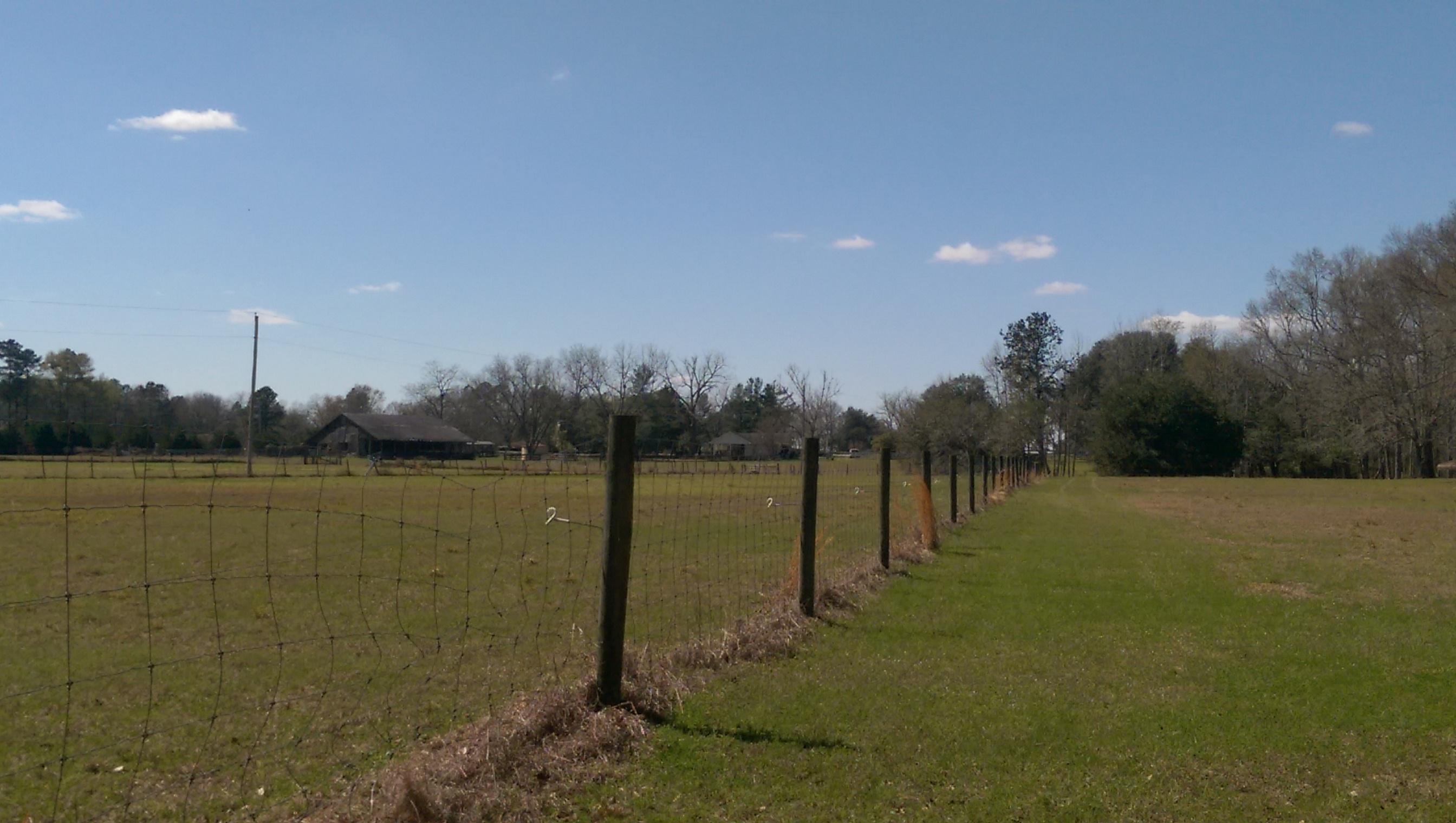 1823 Tee Vee Road Elloree, SC 29047 - Photo 20 of 21 IMAG4860