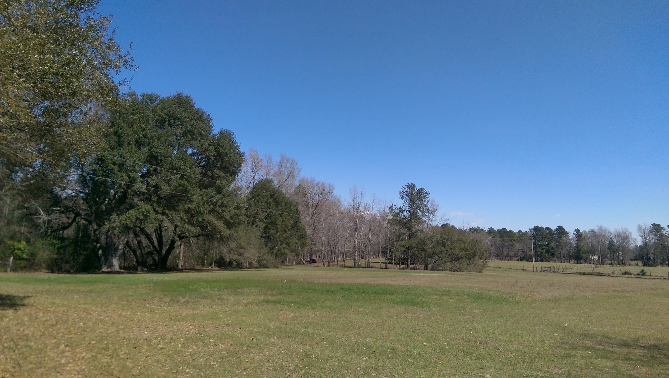 1823 Tee Vee Road Elloree, SC 29047 - Photo 5 of 21 IMAG4837