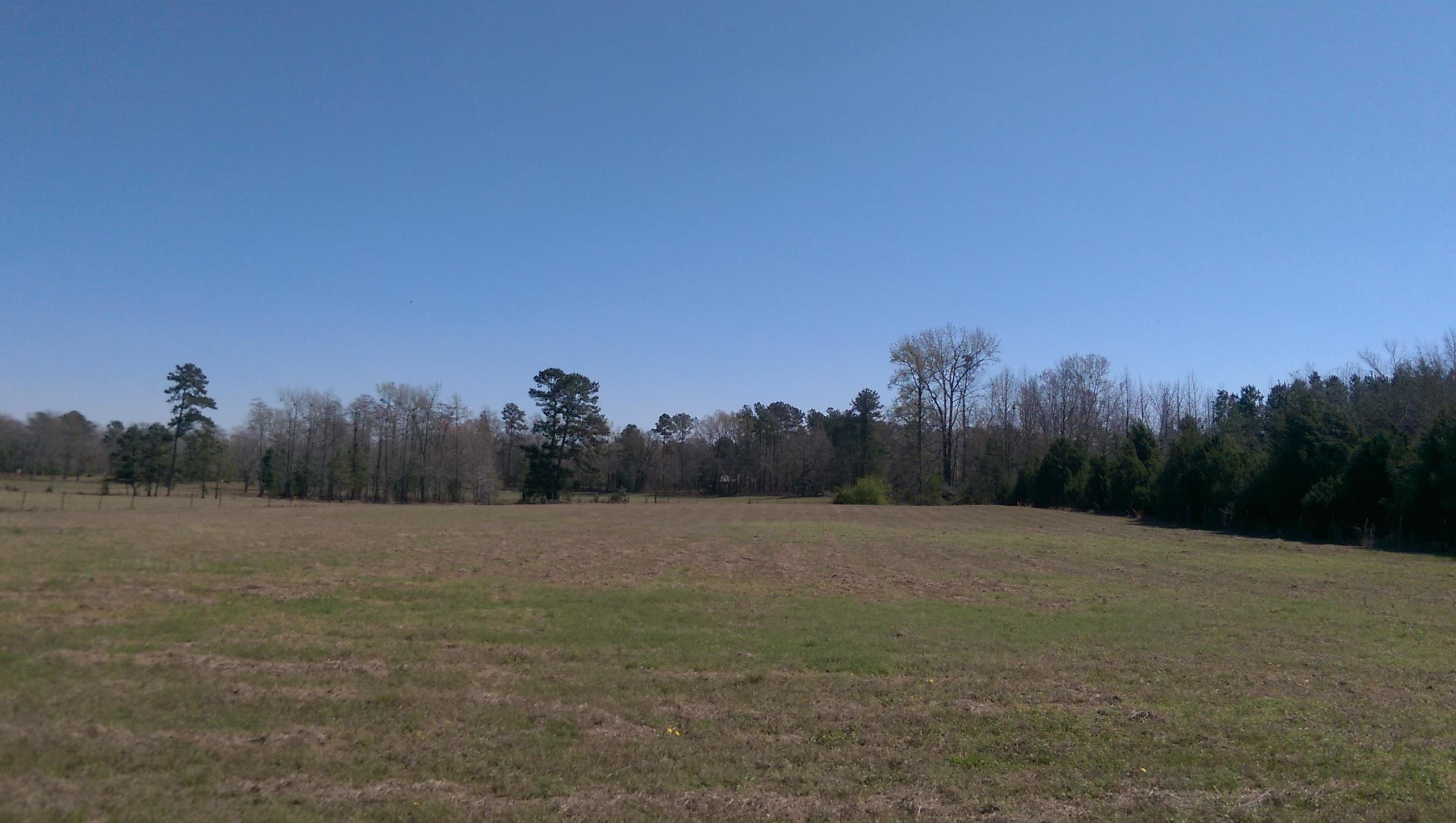 1823 Tee Vee Road Elloree, SC 29047 - Photo 8 of 21 IMAG4841