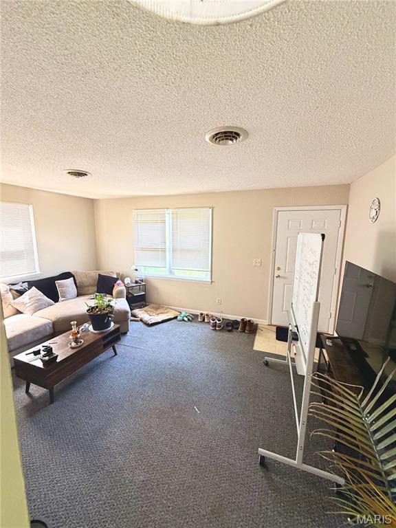 1416 Scenic Rivers Boulevard Salem, MO 65560 - Photo 4 of 11