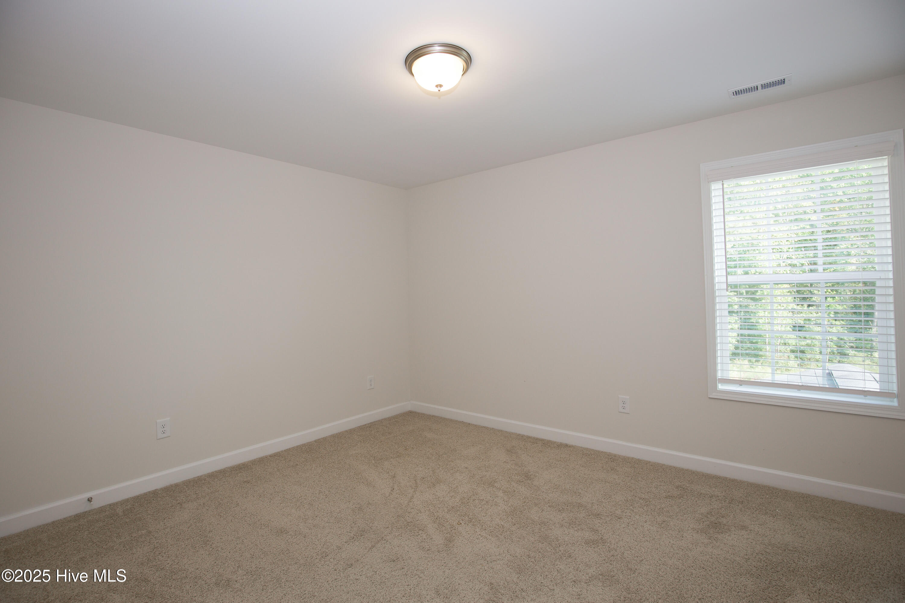 1170 Camellia Drive Vass, NC 28394 - Photo 43 of 60 1170 Camellia Dr-45