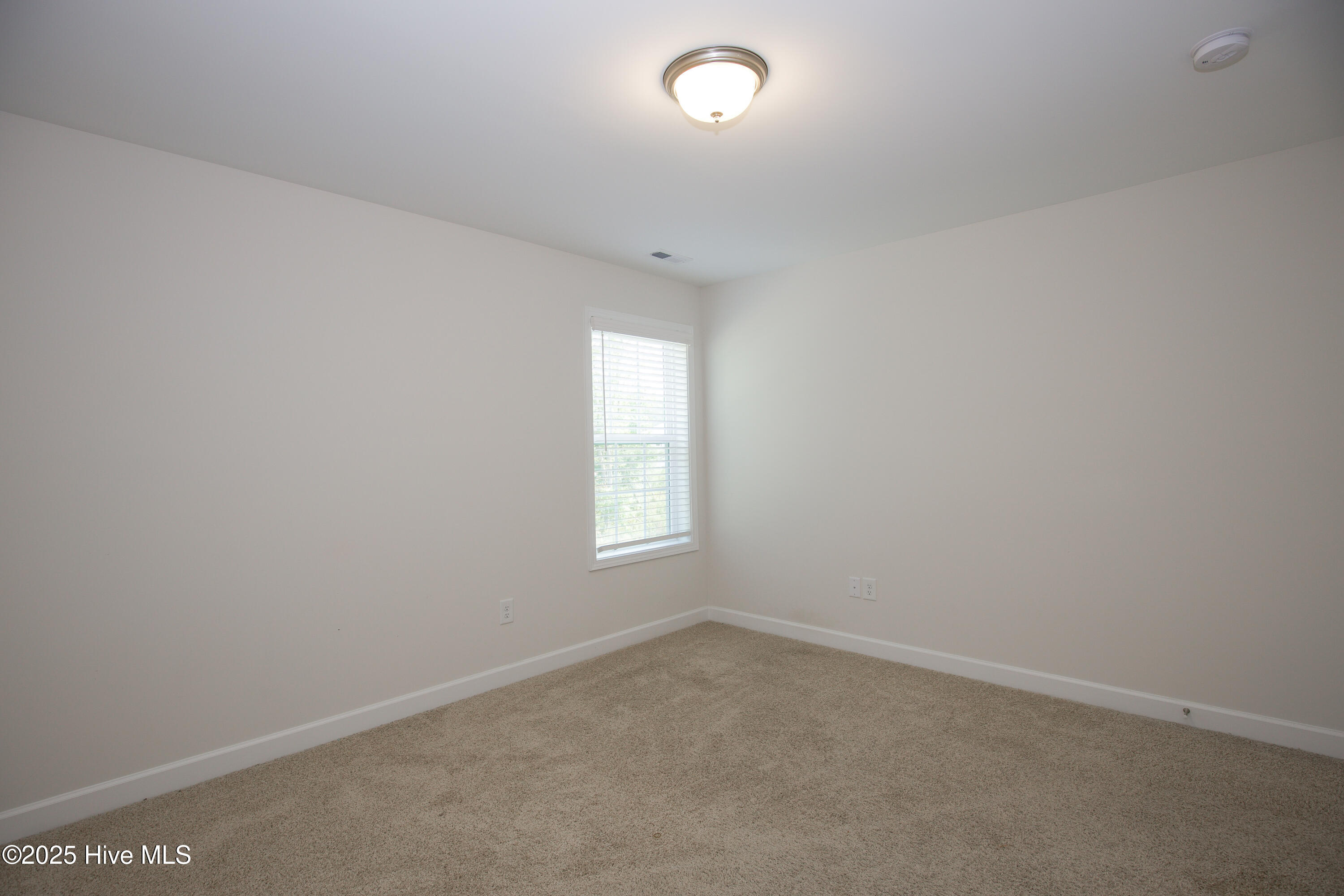 1170 Camellia Drive Vass, NC 28394 - Photo 48 of 60 1170 Camellia Dr-47