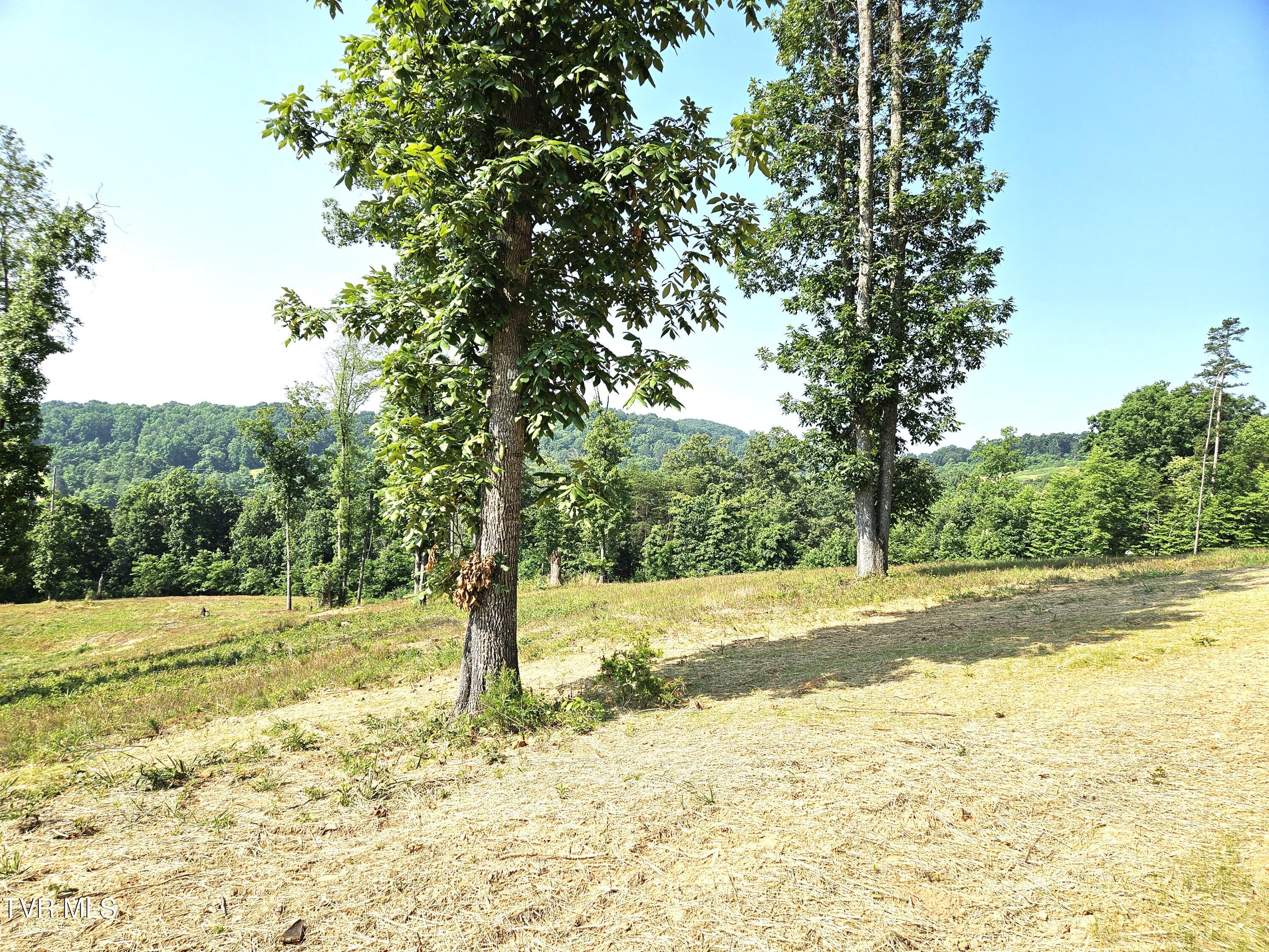 368 Oak Grove Road Rogersville, TN 37857 - Photo 38 of 40 42