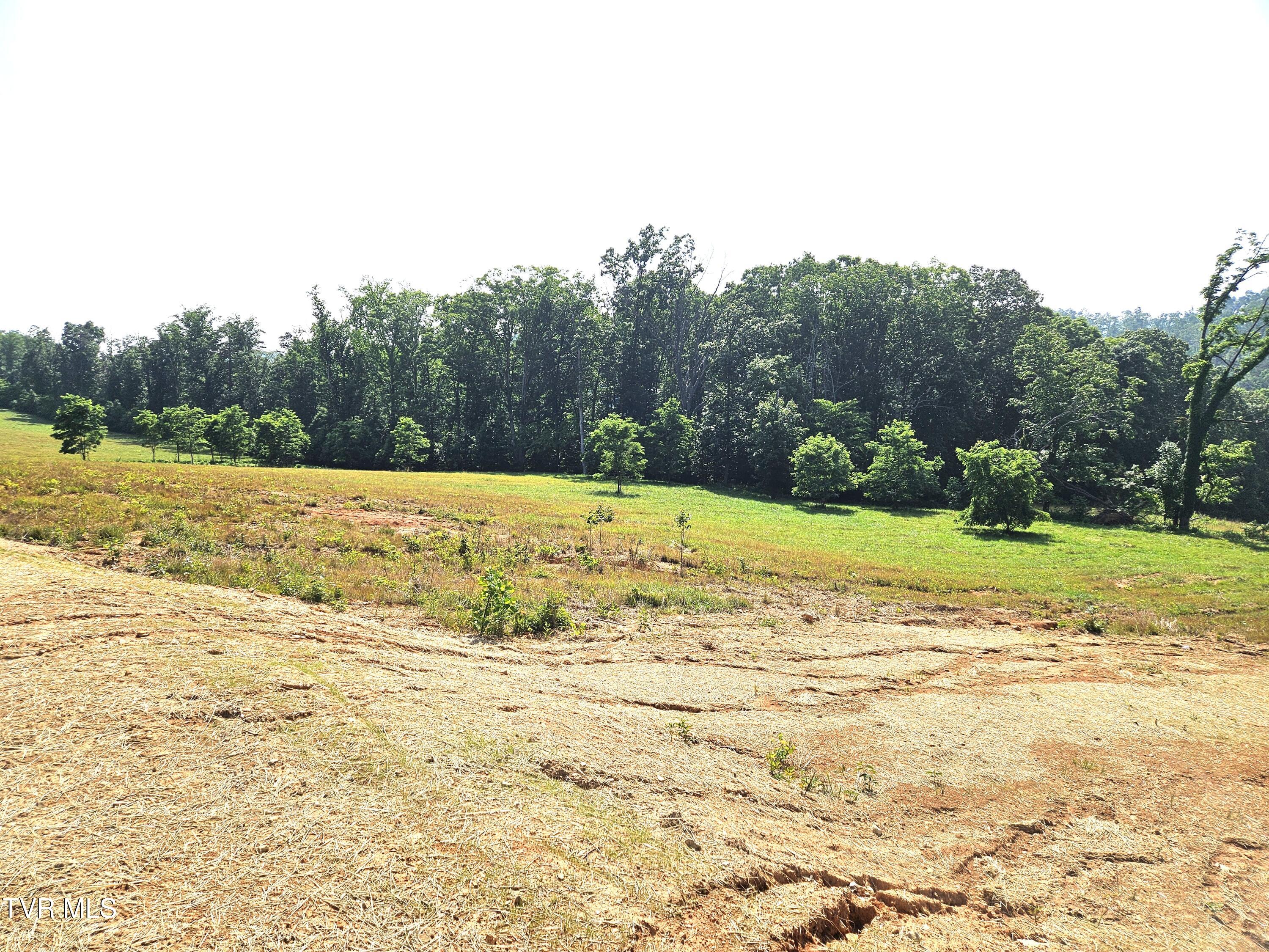 368 Oak Grove Road Rogersville, TN 37857 - Photo 9 of 40 39