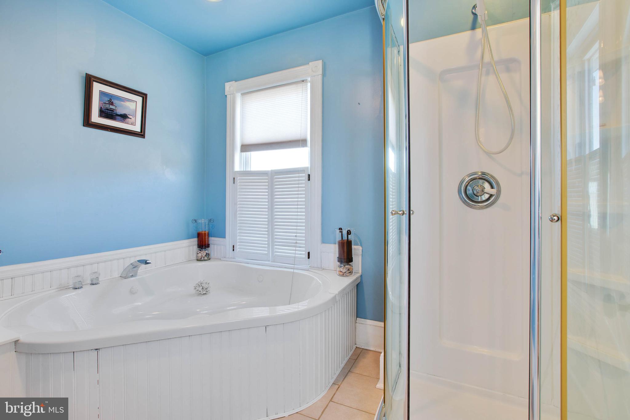 3722 Kanawha Avenue Point of Rocks, MD 21777 - Photo 21 of 33 Master bath with Whirlpool tub and separate shower
