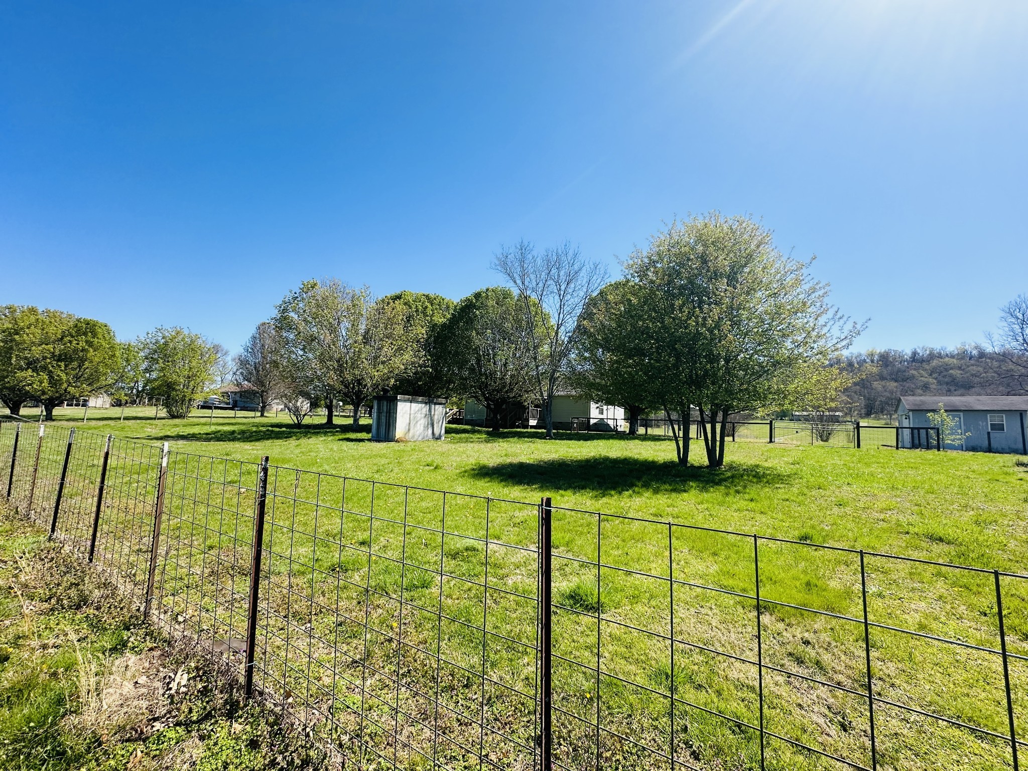 217 Hickerson Road Wartrace, TN 37183 - Photo 6 of 23