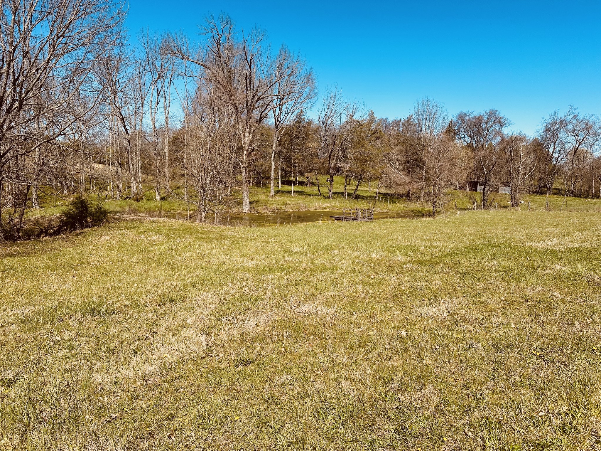 217 Hickerson Road Wartrace, TN 37183 - Photo 7 of 23