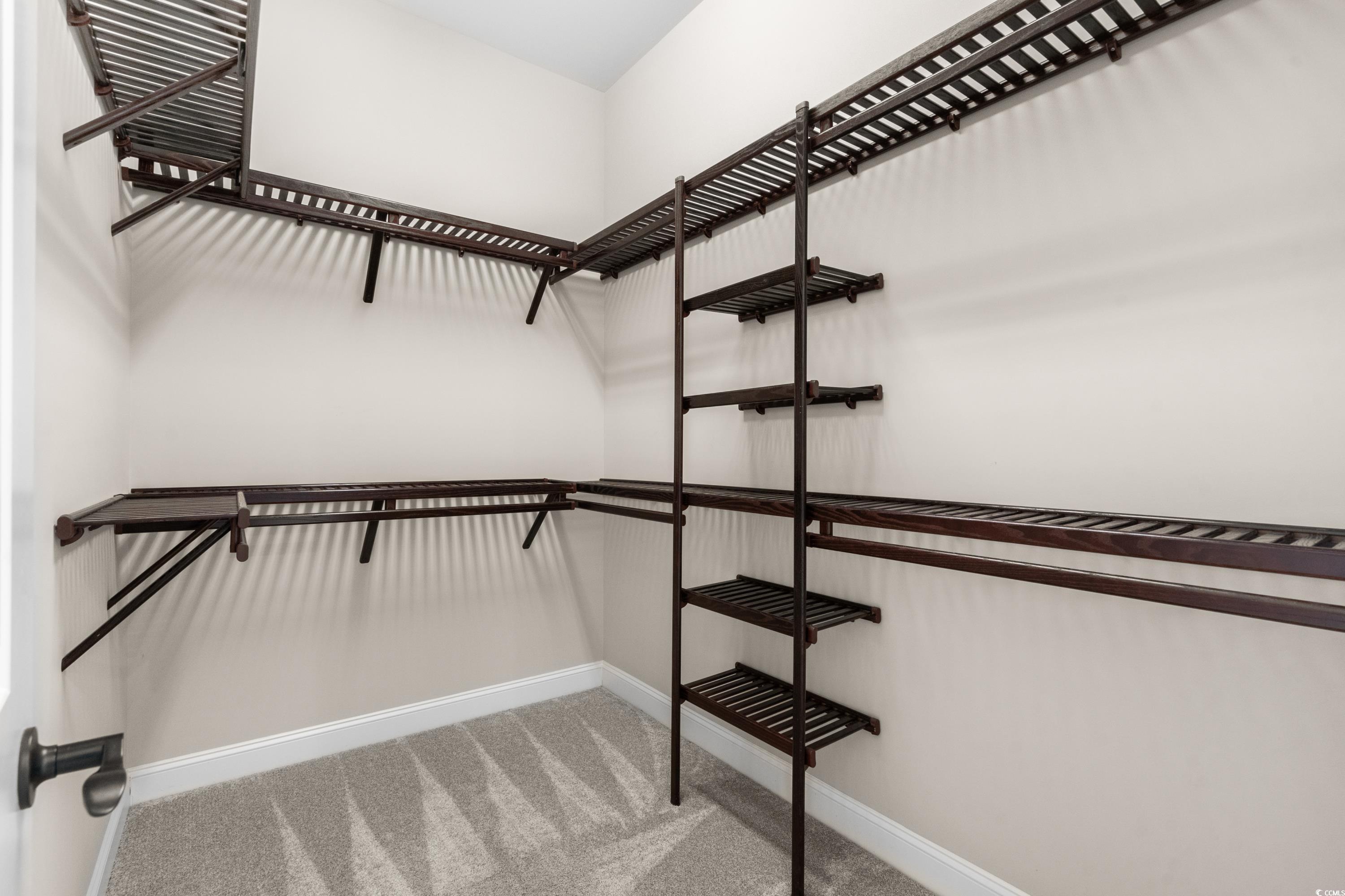 8159 Sandlapper Way Myrtle Beach, SC 29572 - Photo 25 of 39 Walk in closet with carpet flooring
