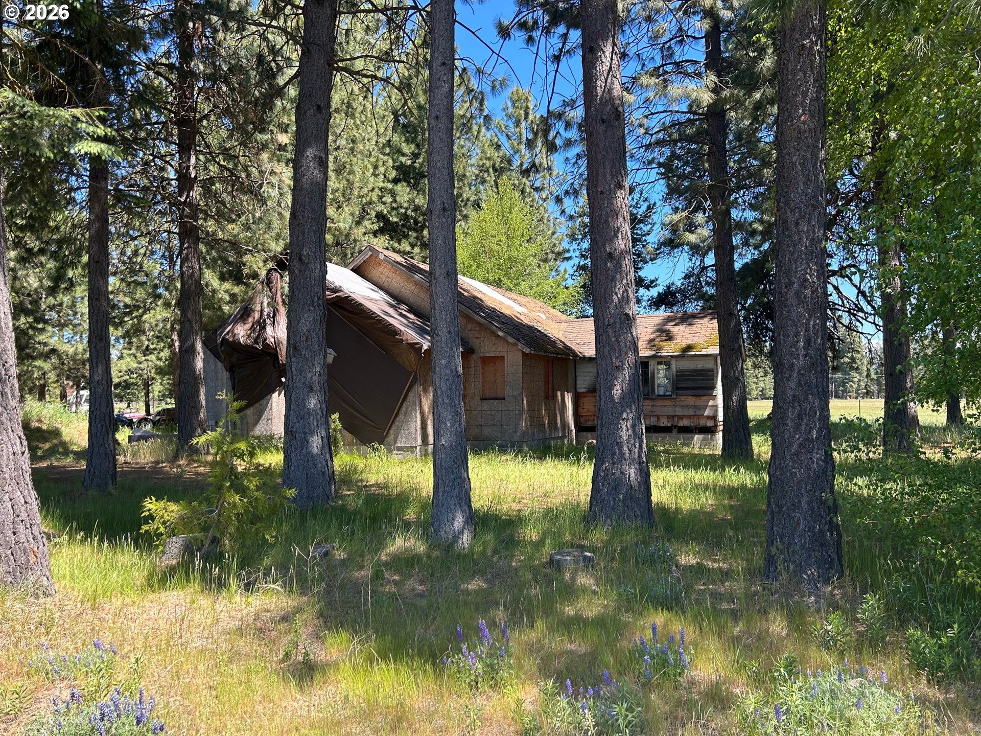 18 Lakeside Road Glenwood, WA 98619 - Photo 1 of 12