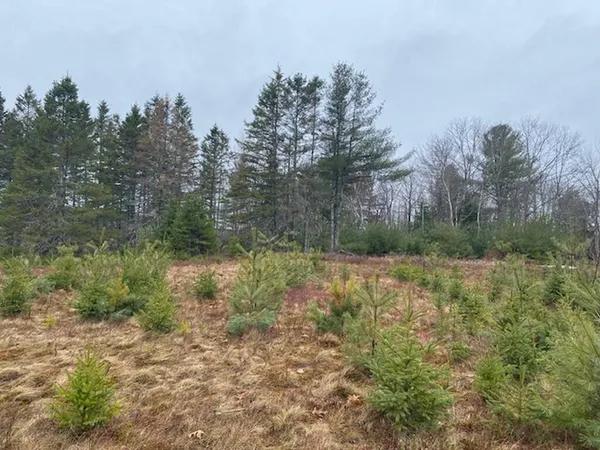 $75,000 | Lot 5 Copeland Hill Road, Holden, ME 04429
