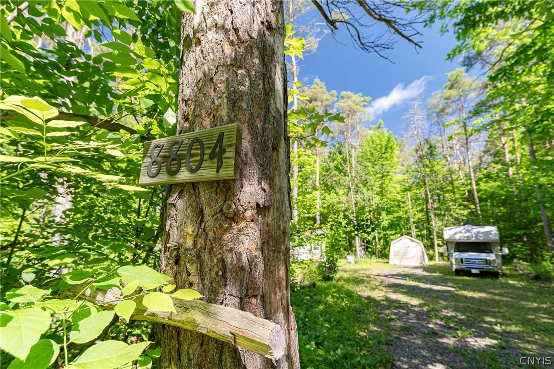 8804 Becker Road Springwater, NY 14572 - Photo 20 of 34