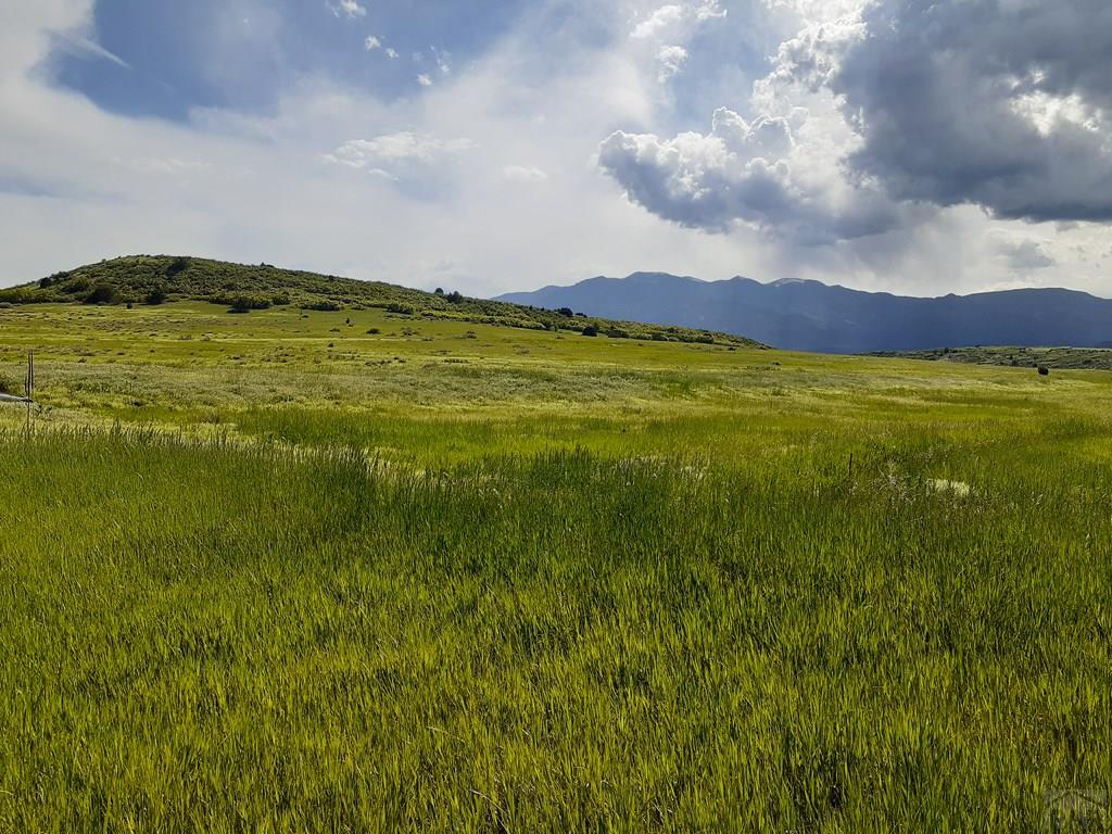 Tbd Apollo Circle Rye, CO 81069 - Photo 4 of 11
