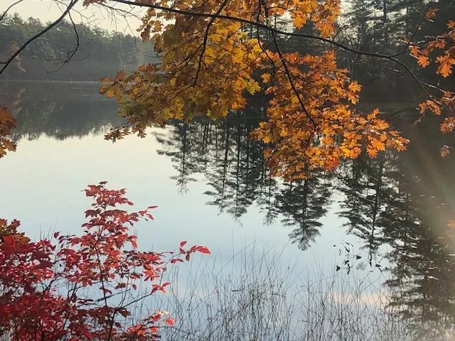 $250,000 | Tbd Blue Jay Way, Kents Hill, ME 04349