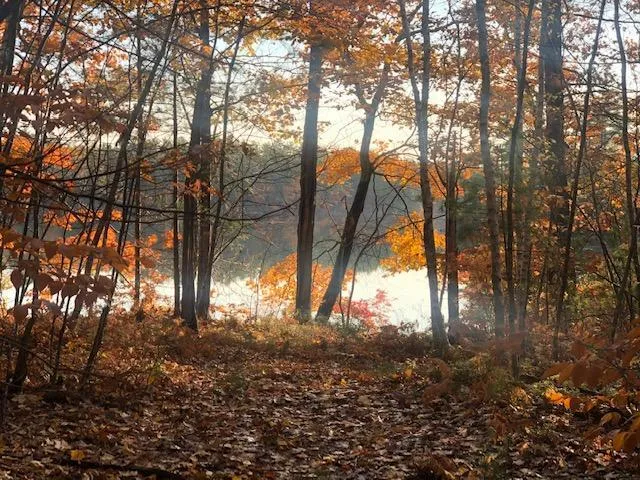 $250,000 | Tbd Blue Jay Way, Kents Hill, ME 04349