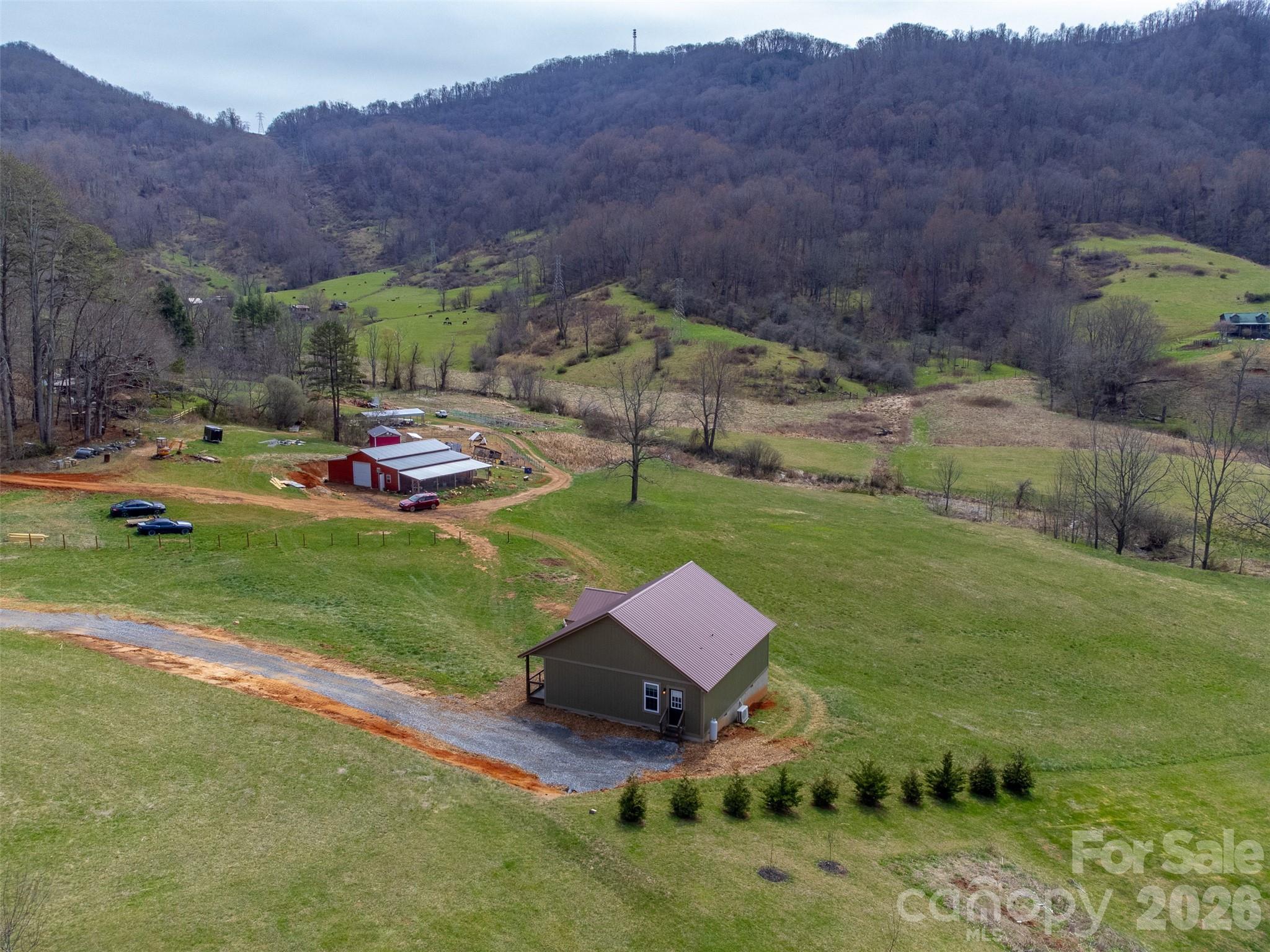 3240 Old Henson Cove Road Canton, NC 28716 - Photo 2 of 34