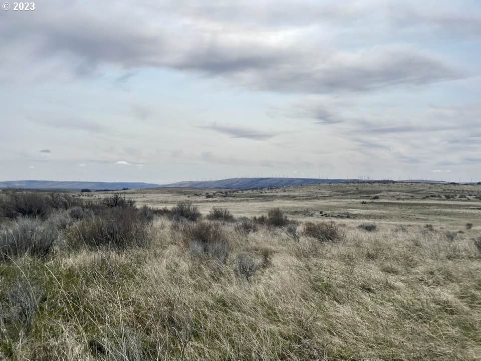 Badger Gulch Road Goldendale, WA 98620 - Photo 4 of 7 Gallery Image 4