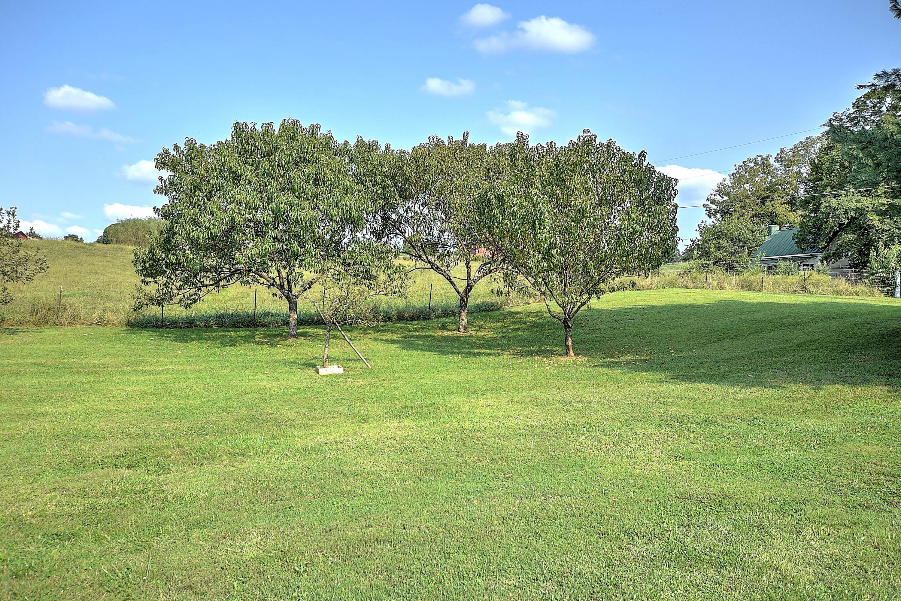 203 Lola Humphreys Road Limestone, TN 37681 - Photo 28 of 35 Lola Humprys-33