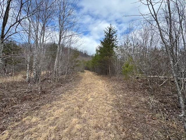 Tbd Brammer Spur Road Woolwine, VA 24185 - Photo 12 of 19 Gallery Image 12