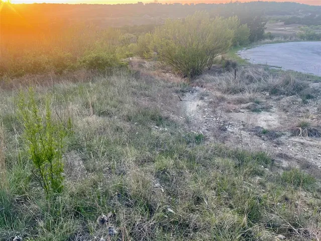 a view of a dry yard with green space and fog
