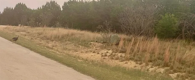 a view of a lake view