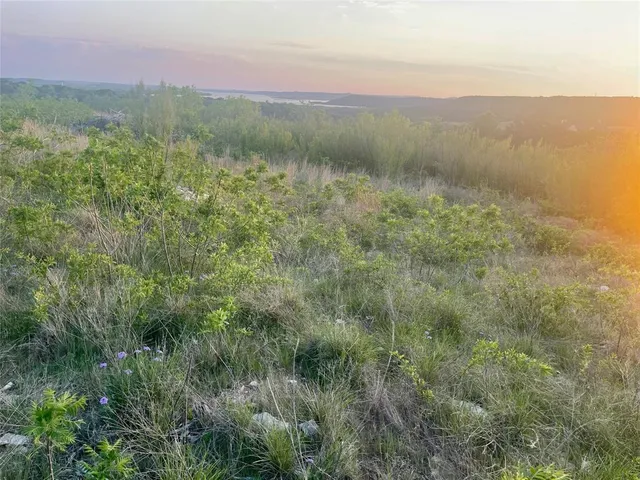 a view of a lush green outdoor space with a lake view