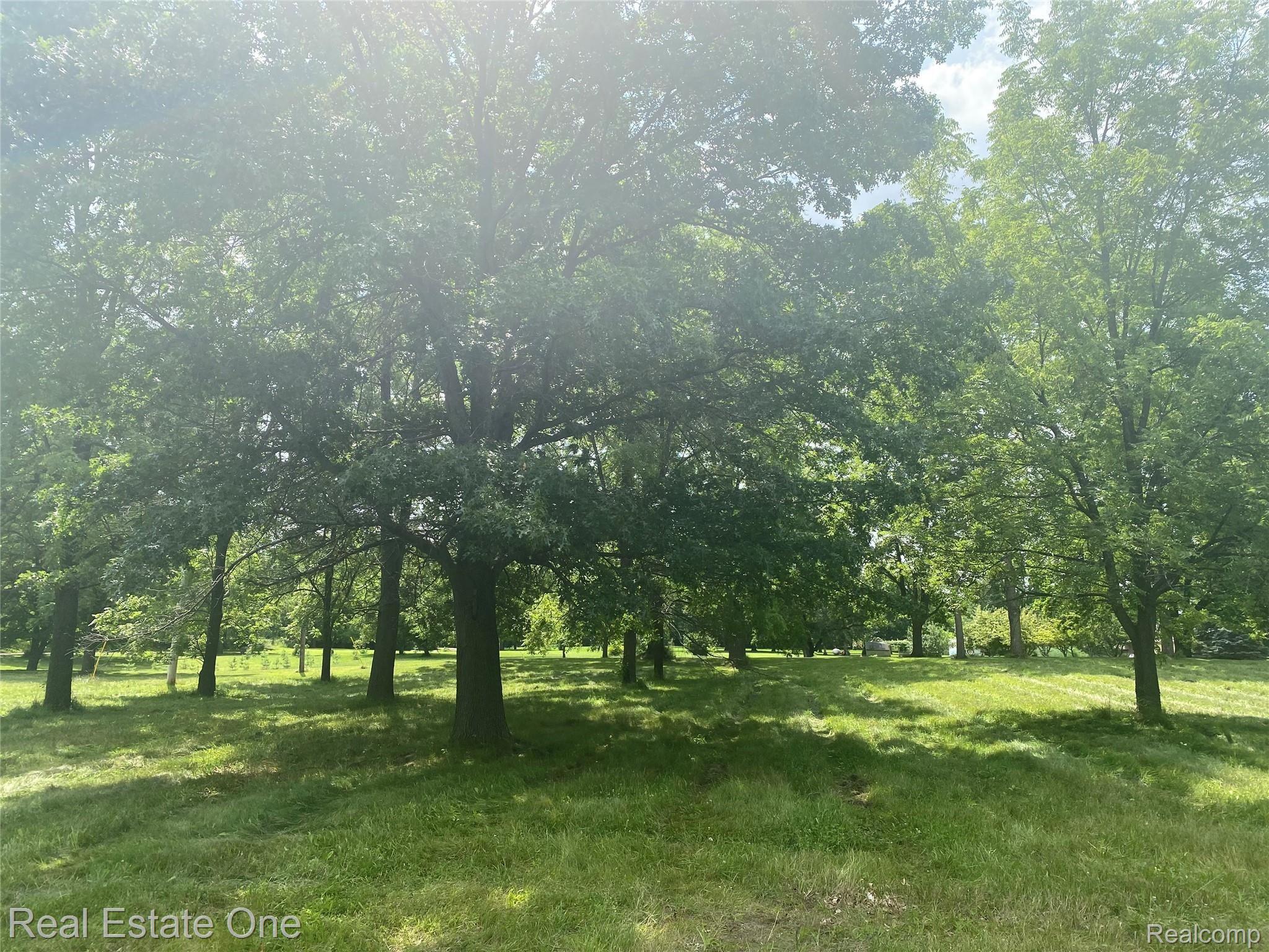 1465 Addis Road Holly, MI 48442 - Photo 2 of 16 Mature Trees