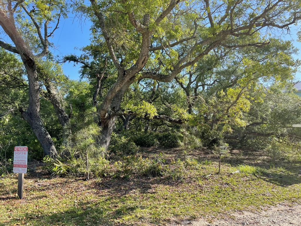 3 Sail Fish Street Alligator Point, FL 32346 - Photo 2 of 4