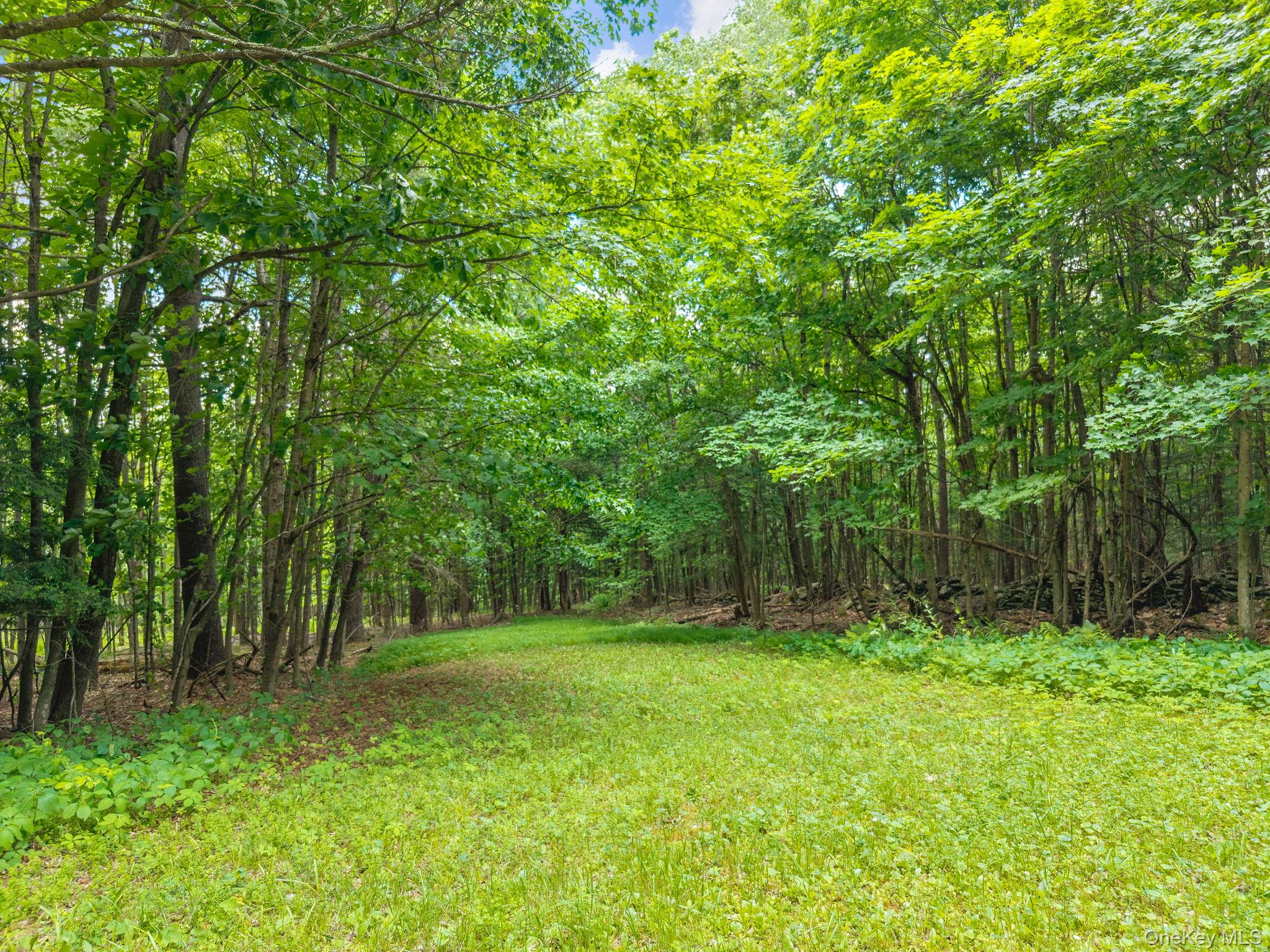 468 Treadlemire Road Berne, NY 12023 - Photo 36 of 44