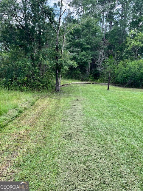 0 Jacobs Street Nahunta, GA 31553 - Photo 7 of 9