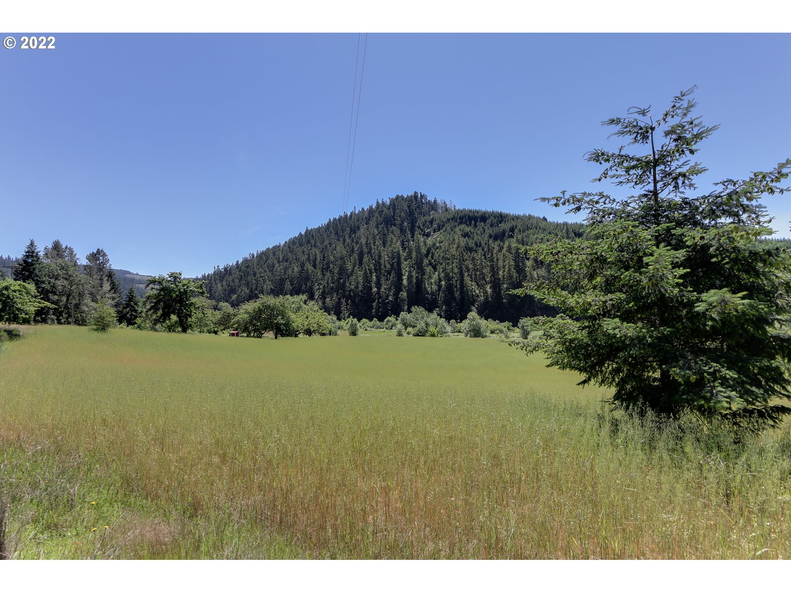 Pasture