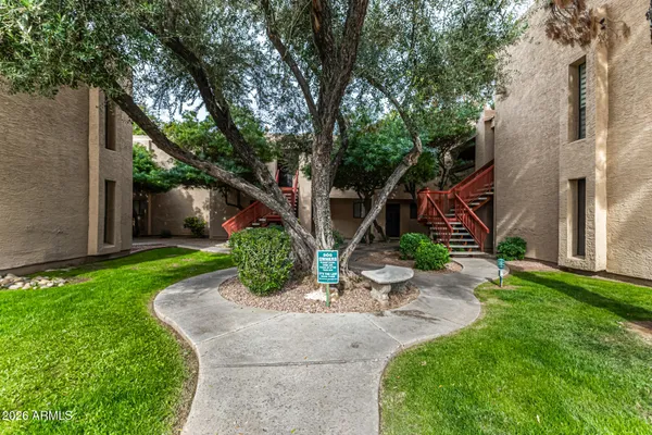 a view of a garden with potted plants and large trees