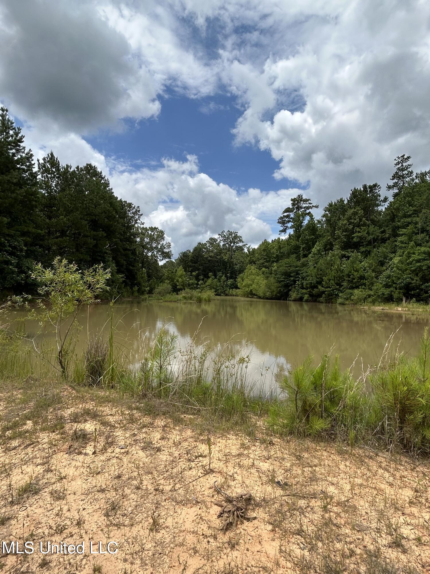 916 White Road Florence, MS 39073 - Photo 13 of 14 Whte Rd 7