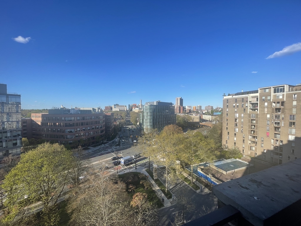 44 Washington Street, Unit 1009 Brookline, MA 02445 - Photo 6 of 12 a view of a city from a yard