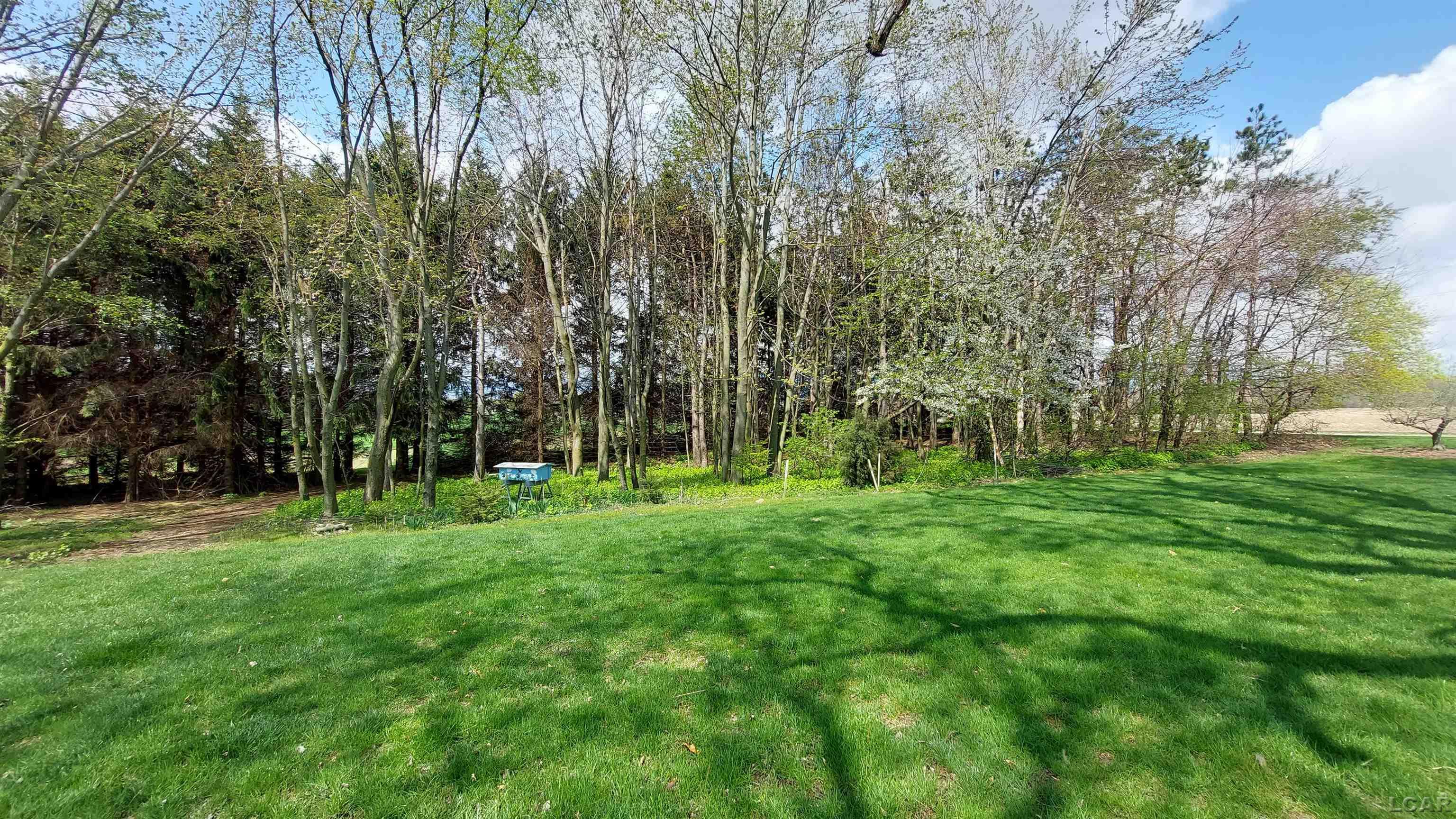 7665 Centennial Road Britton, MI 49229 - Photo 8 of 55 50107784-10.JPG