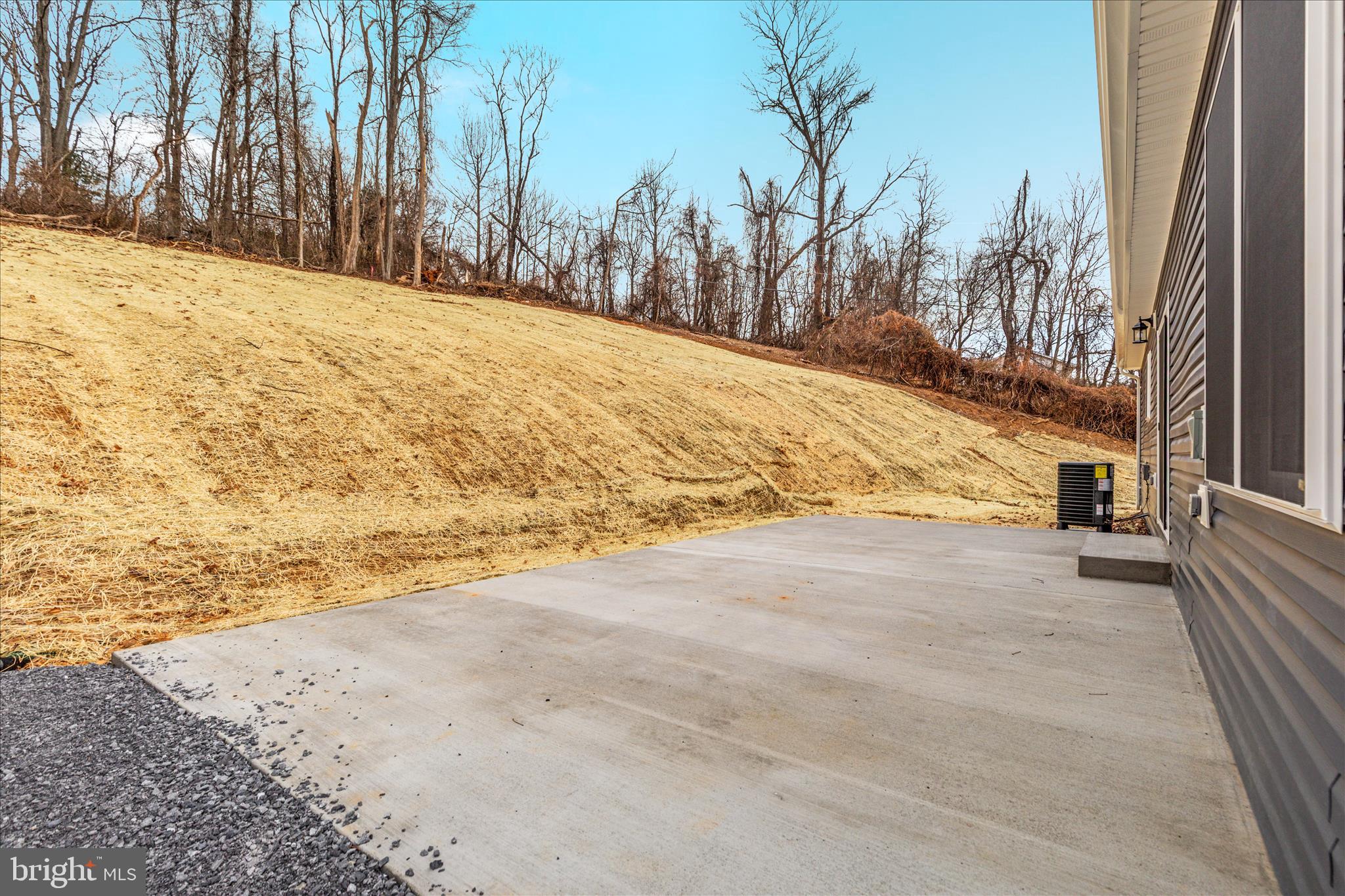 66 Bluejay Court Front Royal, VA 22630 - Photo 38 of 81 a view of large yard with large trees